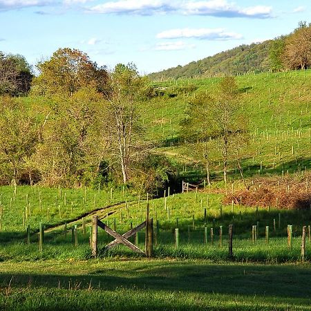 WoodvilleWalnut Run Farm别墅 外观 照片