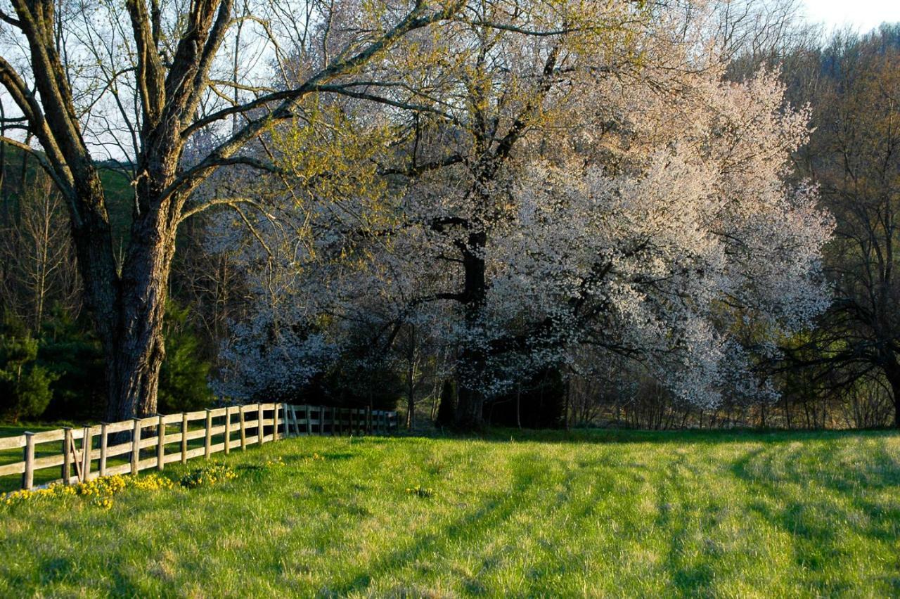 WoodvilleWalnut Run Farm别墅 外观 照片